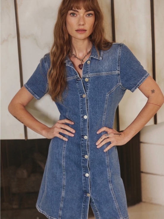 Rails Dresses & Skirts - Rails Pasadena Button Front Denim Minidress